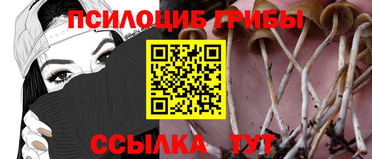 купить наркотик  Галлюциногенные грибы мухоморы  Псилоцибиновые грибы мицелий  Вход с VPN  Чусовой 